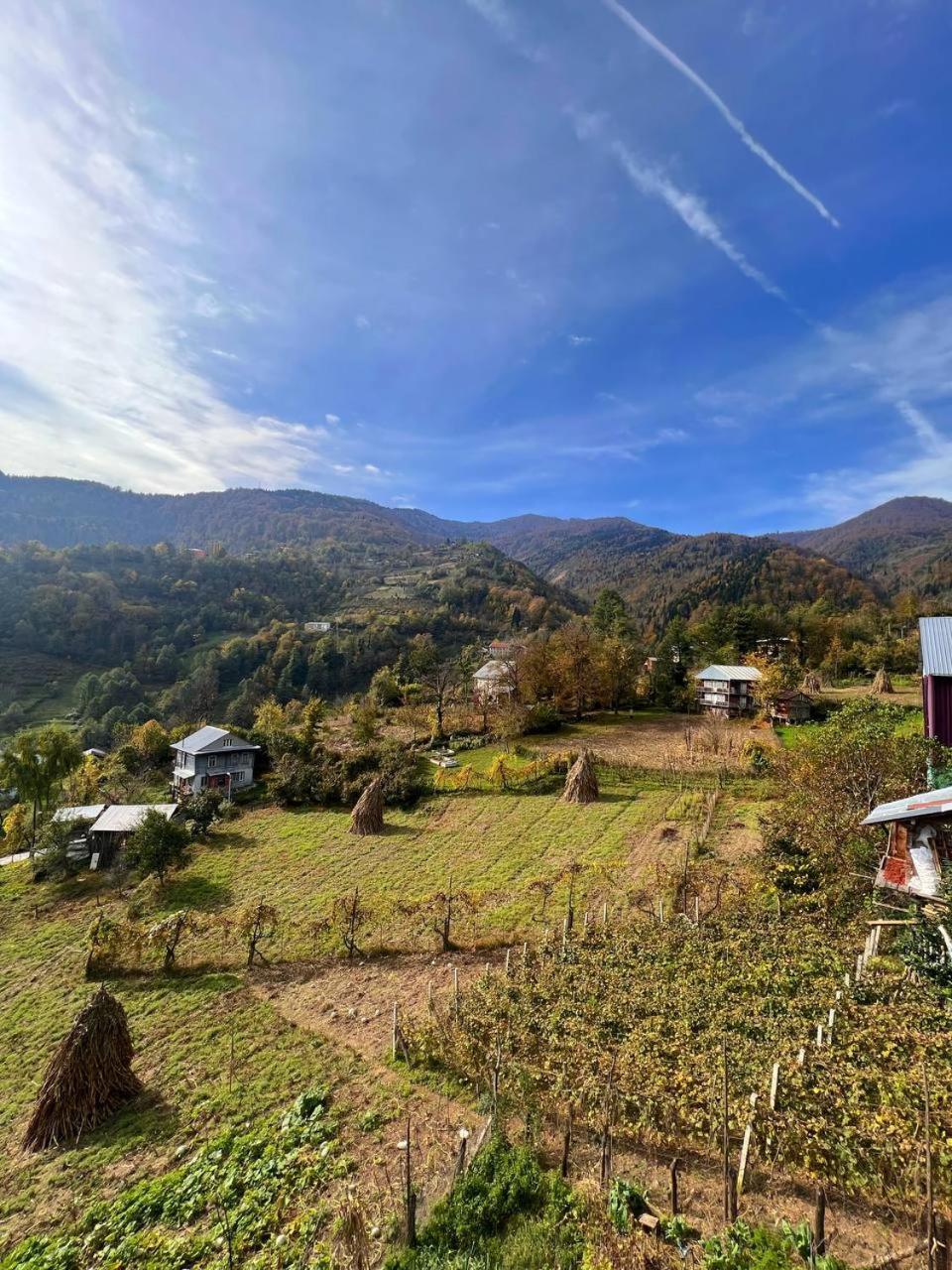 Shuakhevi Family Winery And Guesthouse "Kejeradzeebi" المظهر الخارجي الصورة